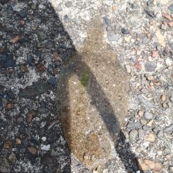 素敵な仲間と那珂湊港釣行❕