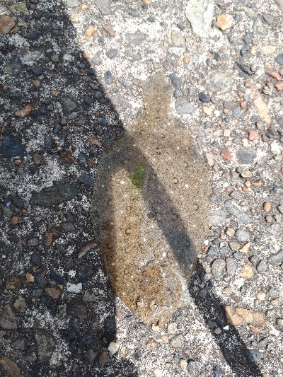 素敵な仲間と那珂湊港釣行❕