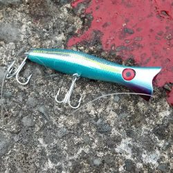 夕方のひととき