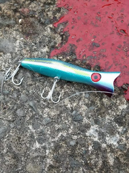 夕方のひととき