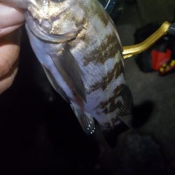 雨上がりベタ凪ぎ弱風