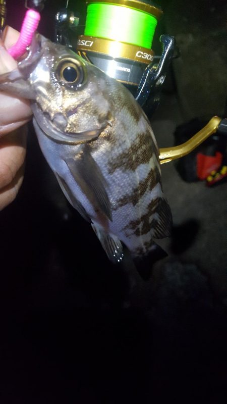 雨上がりベタ凪ぎ弱風