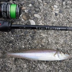 今が旬のキスゲーム