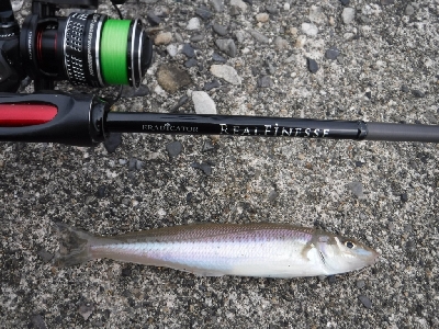 今が旬のキスゲーム