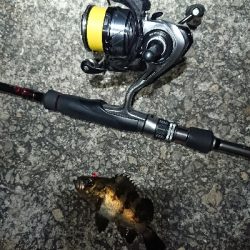 メバリング日和