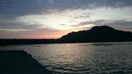 キス 調査 浜坂編