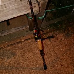 連日連夜の今宵もメバリング