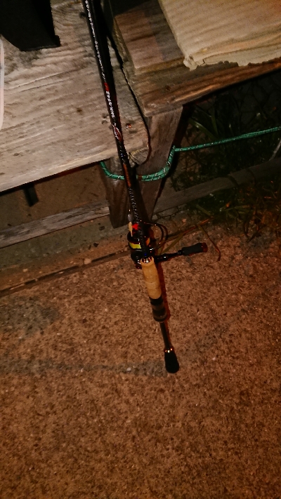 連日連夜の今宵もメバリング