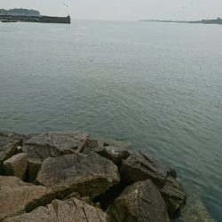 雨のデイゲーム