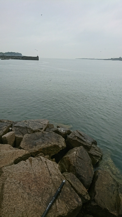 雨のデイゲーム