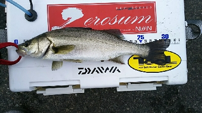 短時間の連チャン