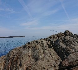 ついに釣れた！が、まさかの…