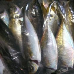 沖堤防で撃沈…