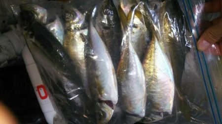 沖堤防で撃沈…