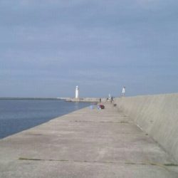 なんとか太刀魚一匹