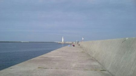 なんとか太刀魚一匹