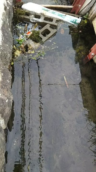 アタリは有るが…