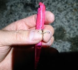 70オーバーげっと✌️