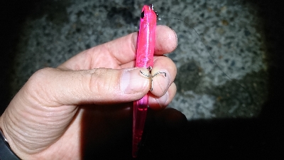 70オーバーげっと✌️