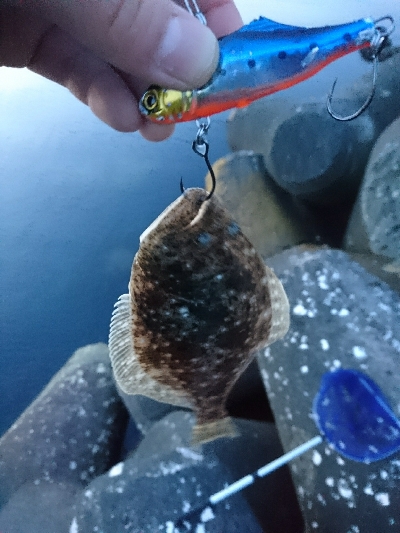 ライトショアジギング