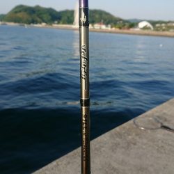 釣り部  釣行記  15