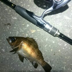 一瞬のジアイ。