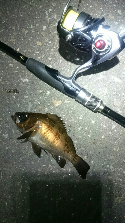 一瞬のジアイ。