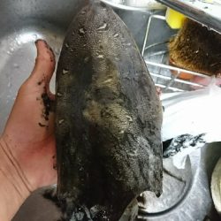 ライトエギング中にまさかの…！！