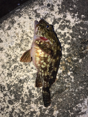 小分けに移動しながら(笑)。