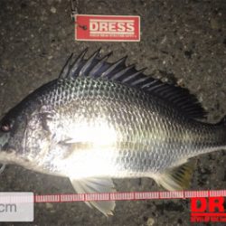 チニング初成功