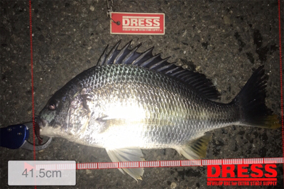 チニング初成功