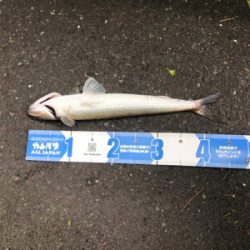 エソのヌシ降臨