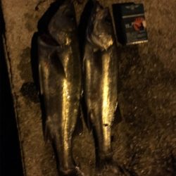 バラシまくり(・・;)