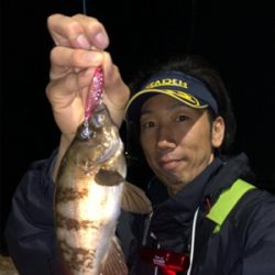 プラッキング☆GUNNING-STYLE釣行☆