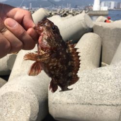 フカセでチヌ！