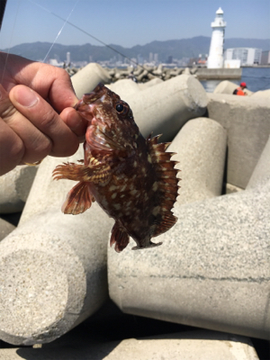 フカセでチヌ！