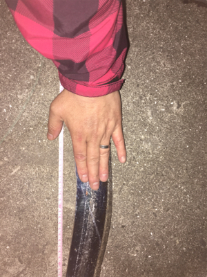 タチウオリベンジ