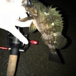 何故そこ!?(釣行 其の弐拾壱)