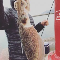 ビギナーズラック！！⭐︎⭐︎