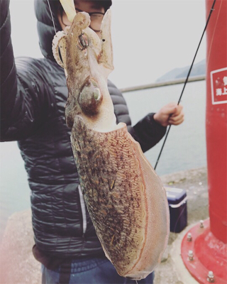 ビギナーズラック！！⭐︎⭐︎