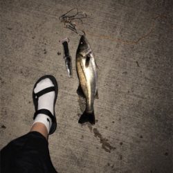 寒い中一匹！！！！