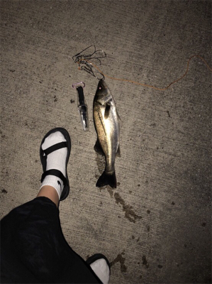 寒い中一匹！！！！