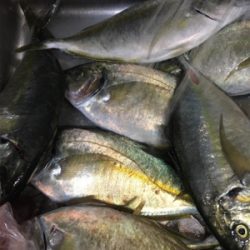 釣り堀