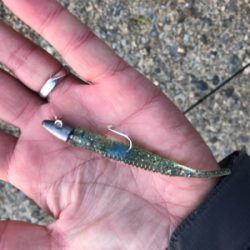 旅行ついでに。