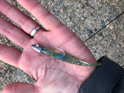 旅行ついでに。