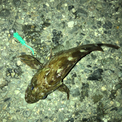 爆風につき早々に退散