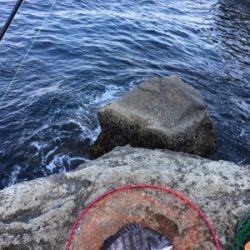 磯でフカセ釣り