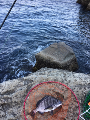 磯でフカセ釣り