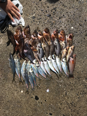 爆風に次ぐ爆風