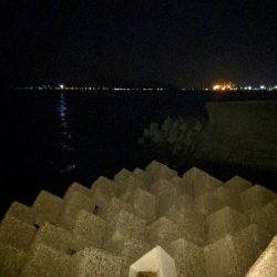 警固屋のメバリング好調！